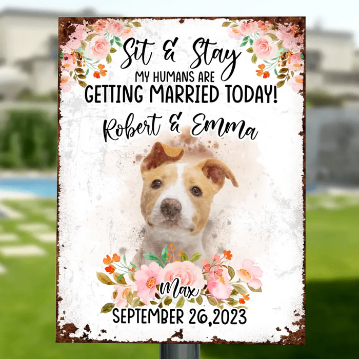 Custom Personalized Dog Wedding Metal Sign - Upload Photo - Wedding Gift Idea For Couple/ Dog Lover -  Sit & Stay My Humans Are Getting Married Today