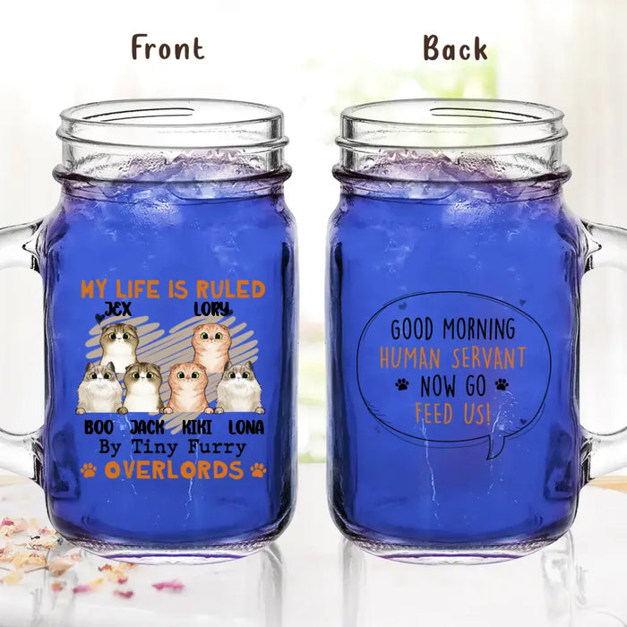 Personalized Cats Mason Jug - Upto 3 Cats - Best Gift Idea For Cat Lovers - Good Morning Human Servant Now Go Feed Us!