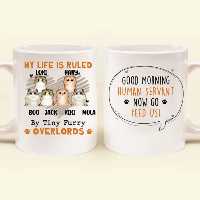 Personalized Cats Coffee Mug - Upto 6 Cats - Best Gift Idea For Cat Lovers - Good Morning Human Servant Now Go Feed Us!