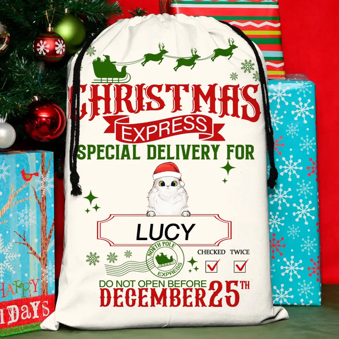Custom Personalized Pet Santa Sack - Gift Idea For Christmas/Pet Lovers - Upto 4 Pets  - Christmas Express Special Delivery