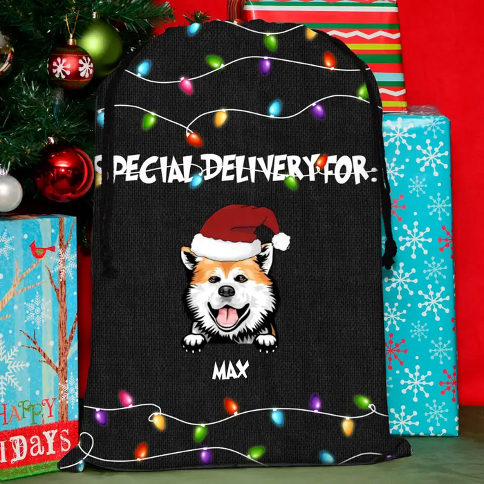 Custom Personalized Christmas Dog Santa Sack - Gift Idea For Christmas/Dogs Lover - Upto 4 Dogs - Special Delivery For Dog