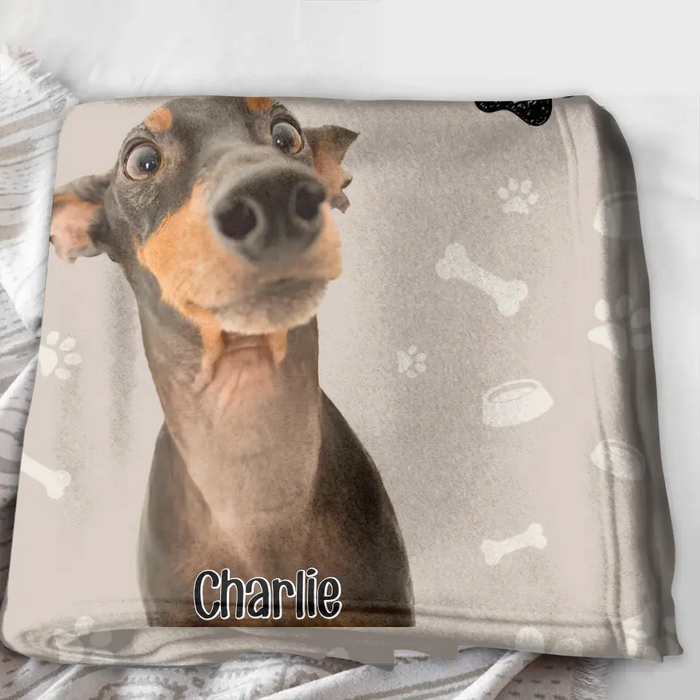 Custom Personalized Pet Photo Quilt/Single Layer Fleece Blanket - Gift For Pet Lover - Upto 3 Pets - I Will Just Keep Staring At You