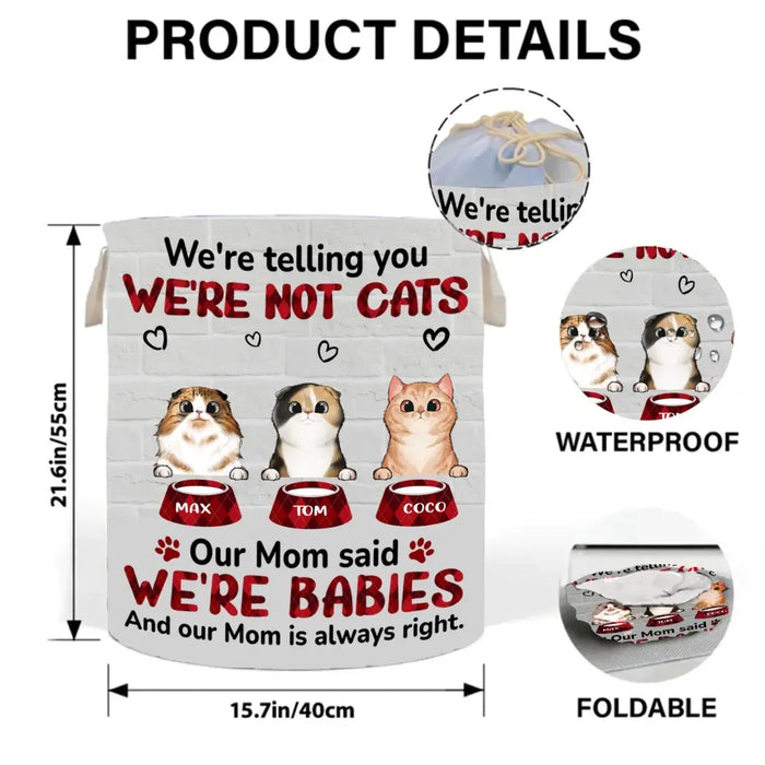 Personalized Pet Laundry Basket - Up to 10 Dogs/Cats - Gift Idea For Dog/Cat Lover - I'm Telling You I'm Not A Dog My Mom Said I'm A Baby