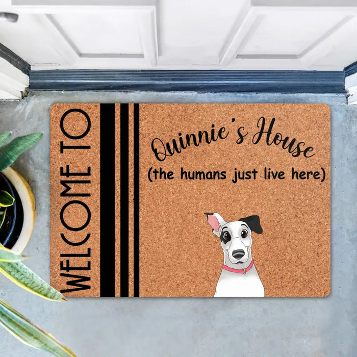 Custom Personalize Pet Doormat - Upto 6 Dogs/Cats  - Mother's Day Gift Idea for Dog/Cat Lovers