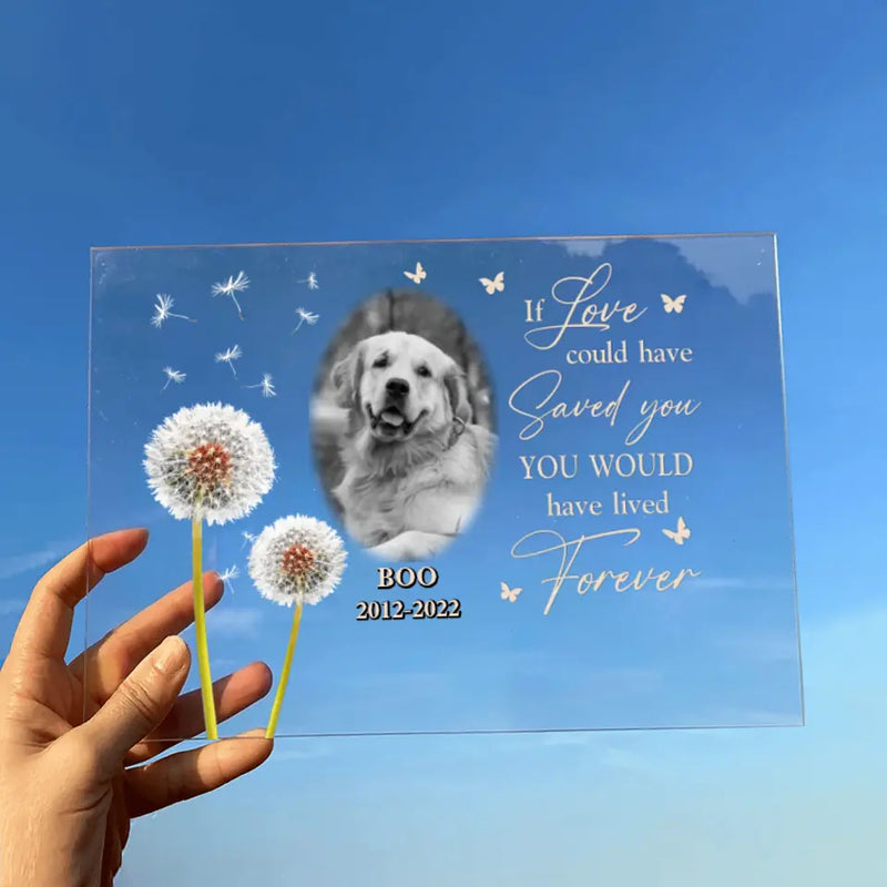 Personalized Memorial Pet Photo Acrylic Plaque - Memorial Gift For Pet Owners - If Love Could Have Saved You You Would Have Lived Forever