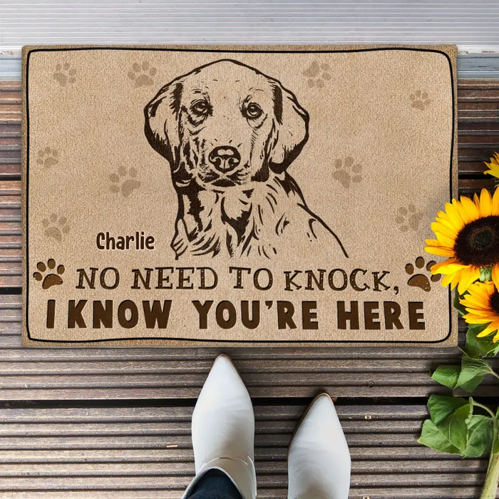 Custom Personalized Welcome Doormat - Upload Pet's Photos - Gift Idea For Dog Lover - No Need To Knock I Know You're Here