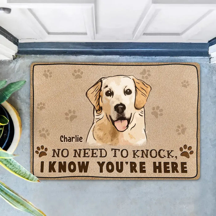 Custom Personalized Welcome Doormat - Upload Pet's Photos - Gift Idea For Dog Lover - No Need To Knock We Know You're Here