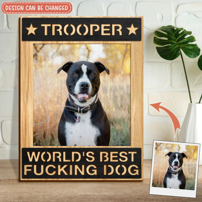 2 dog
