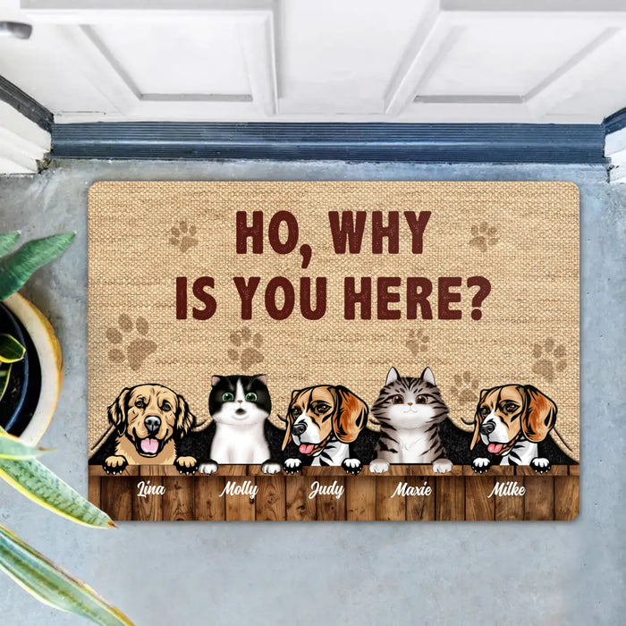 Custom Personalized Pets Lover Doormat - Upto 5 Pets - Best Gift For Dog Lover/Cat Lover