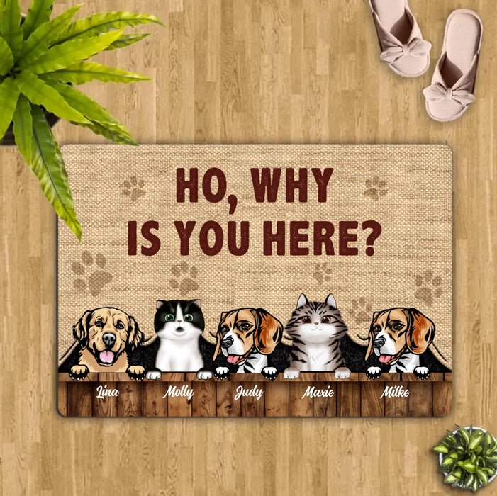 Custom Personalized Pets Lover Doormat - Upto 5 Pets - Best Gift For Dog Lover/Cat Lover