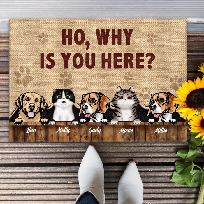 Custom Personalized Pets Lover Doormat - Upto 5 Pets - Best Gift For Dog Lover/Cat Lover
