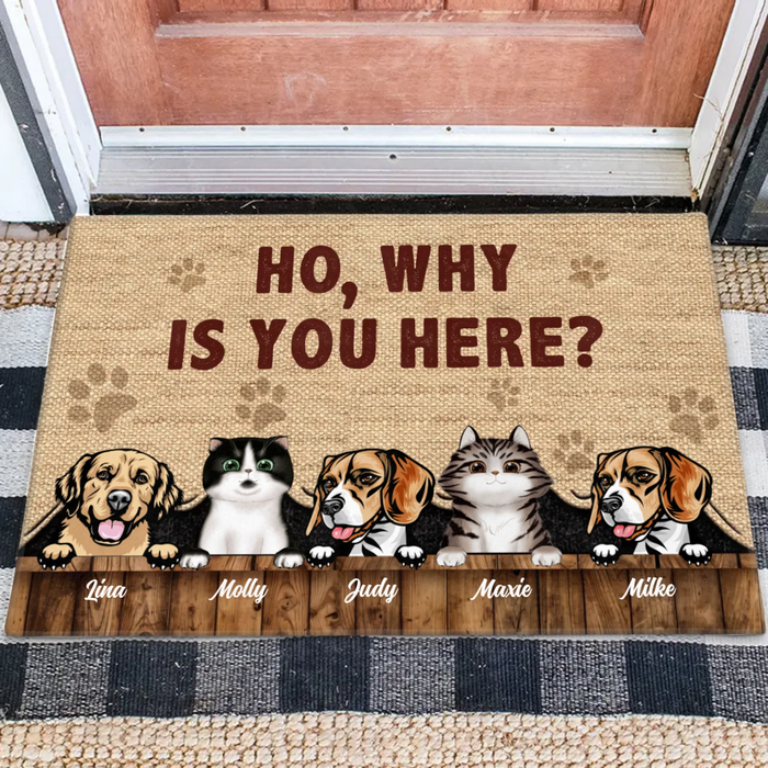 Custom Personalized Pets Lover Doormat - Upto 5 Pets - Best Gift For Dog Lover/Cat Lover