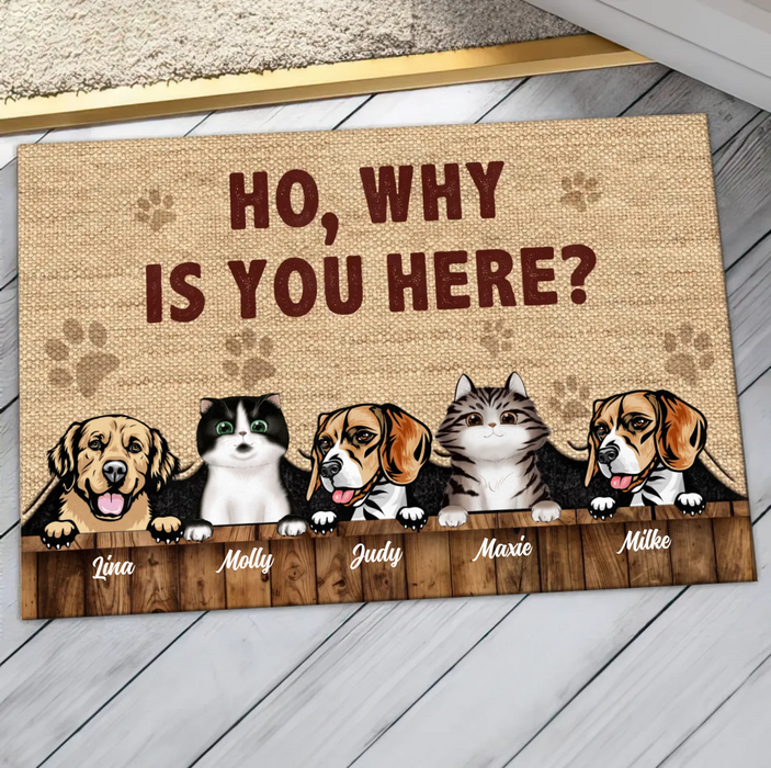 Custom Personalized Pets Lover Doormat - Upto 5 Pets - Best Gift For Dog Lover/Cat Lover