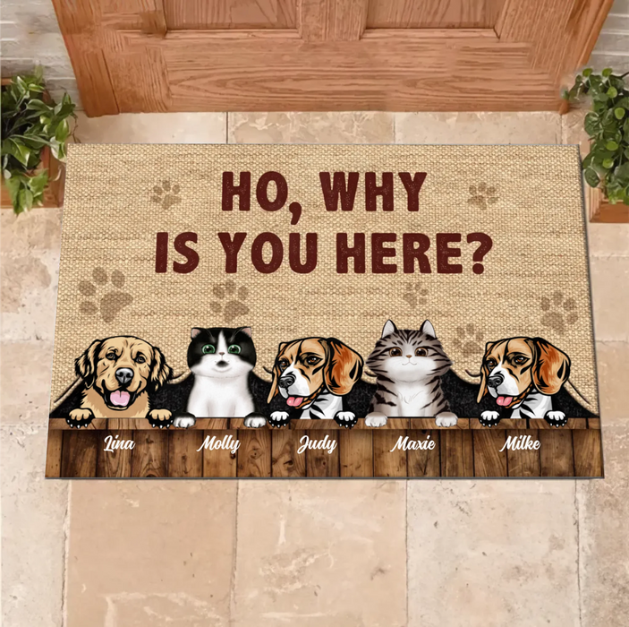 Custom Personalized Pets Lover Doormat - Upto 5 Pets - Best Gift For Dog Lover/Cat Lover
