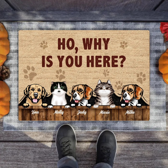 Custom Personalized Pets Lover Doormat - Upto 5 Pets - Best Gift For Dog Lover/Cat Lover