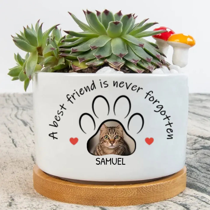 Personalized Memorial Plant Pot - Gift Idea For Gardening Lovers/ Dog Lovers/ Cat Lovers - Upload Dog/ Cat Photo - A Best Friend Is Never Forgotten