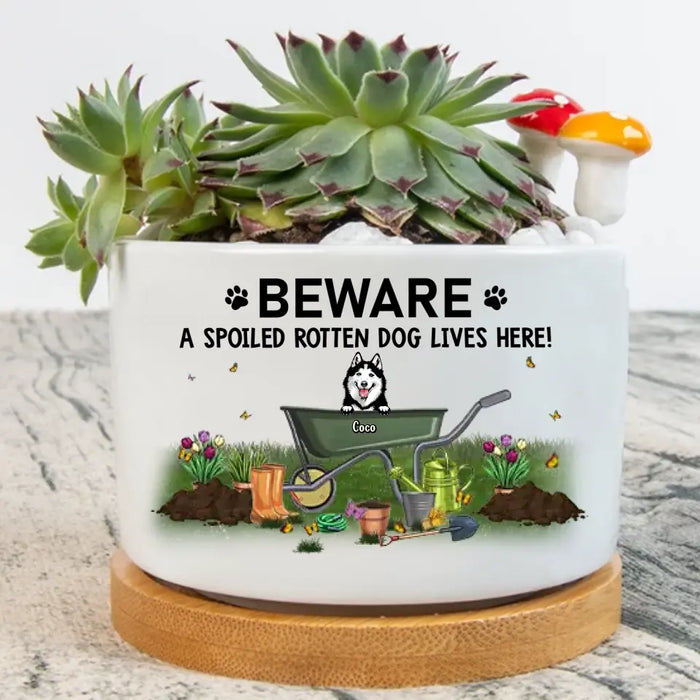 Custom Personalized Garden And Dog Plant Pot - Gift Idea For Dog/ Garden Lover - Upto 4 Dogs - Beware A Spoiled Rotten Dog Lives Here