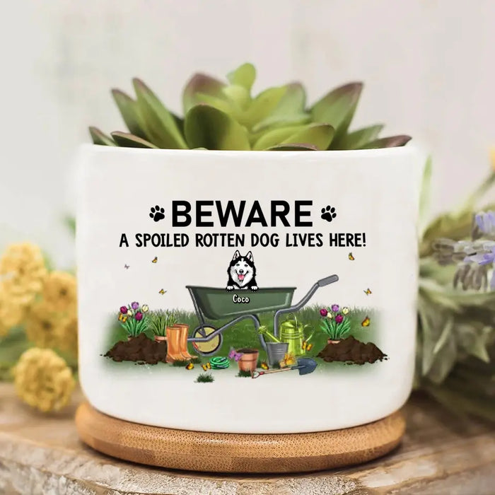 Custom Personalized Garden And Dog Plant Pot - Gift Idea For Dog/ Garden Lover - Upto 4 Dogs - Beware A Spoiled Rotten Dog Lives Here